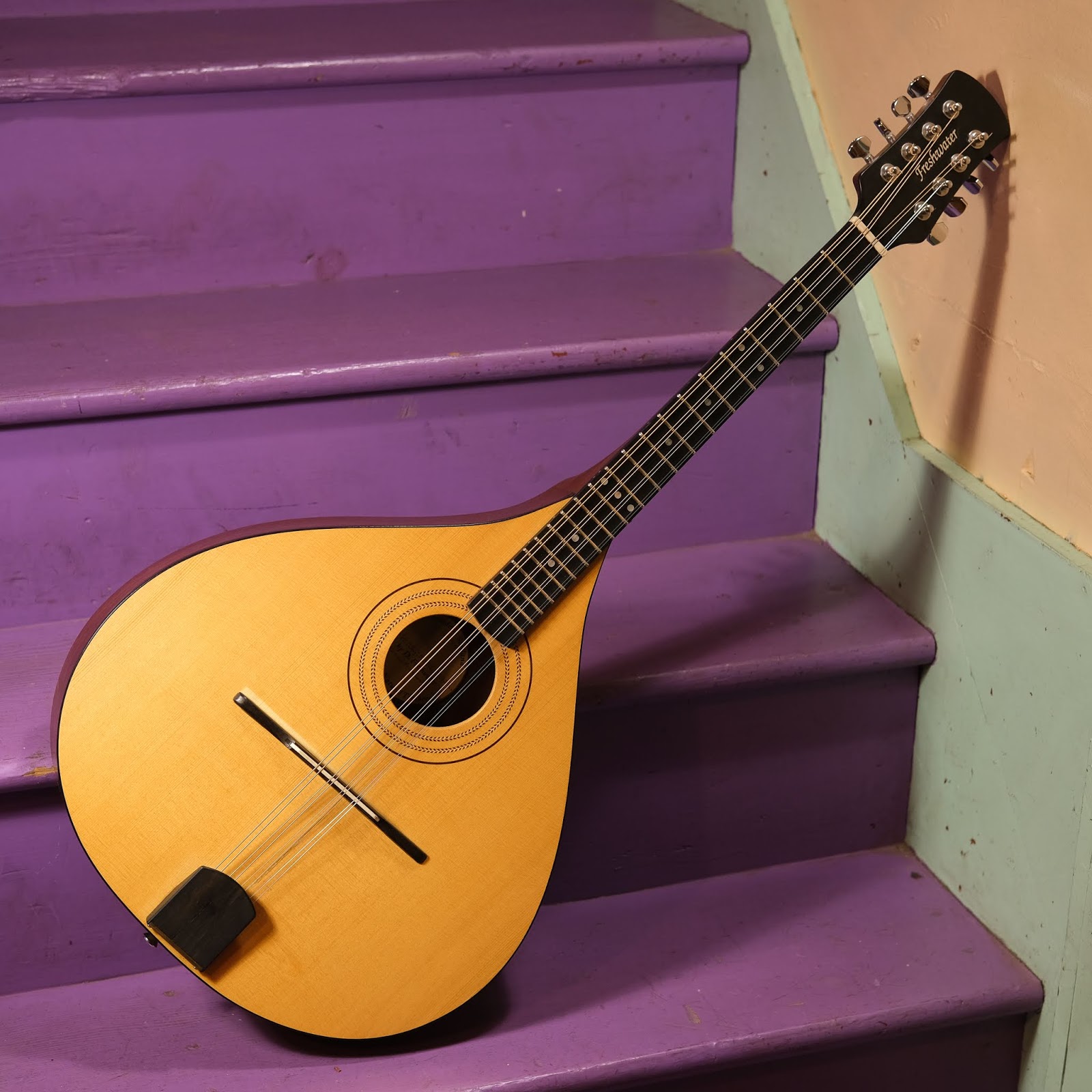 1999 Freshwater Octave Mandolin