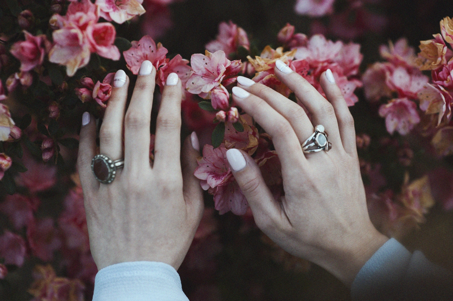 close-up image of hands with rings on the fingers