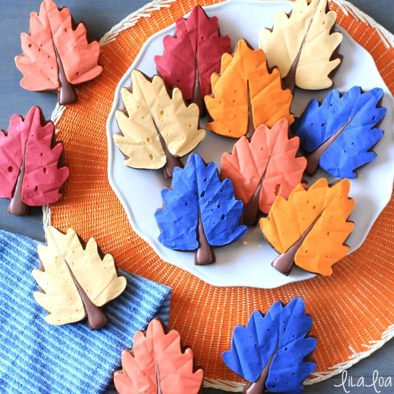 Fall themed decorated chocolate sugar cookies - how to make decorated cookies