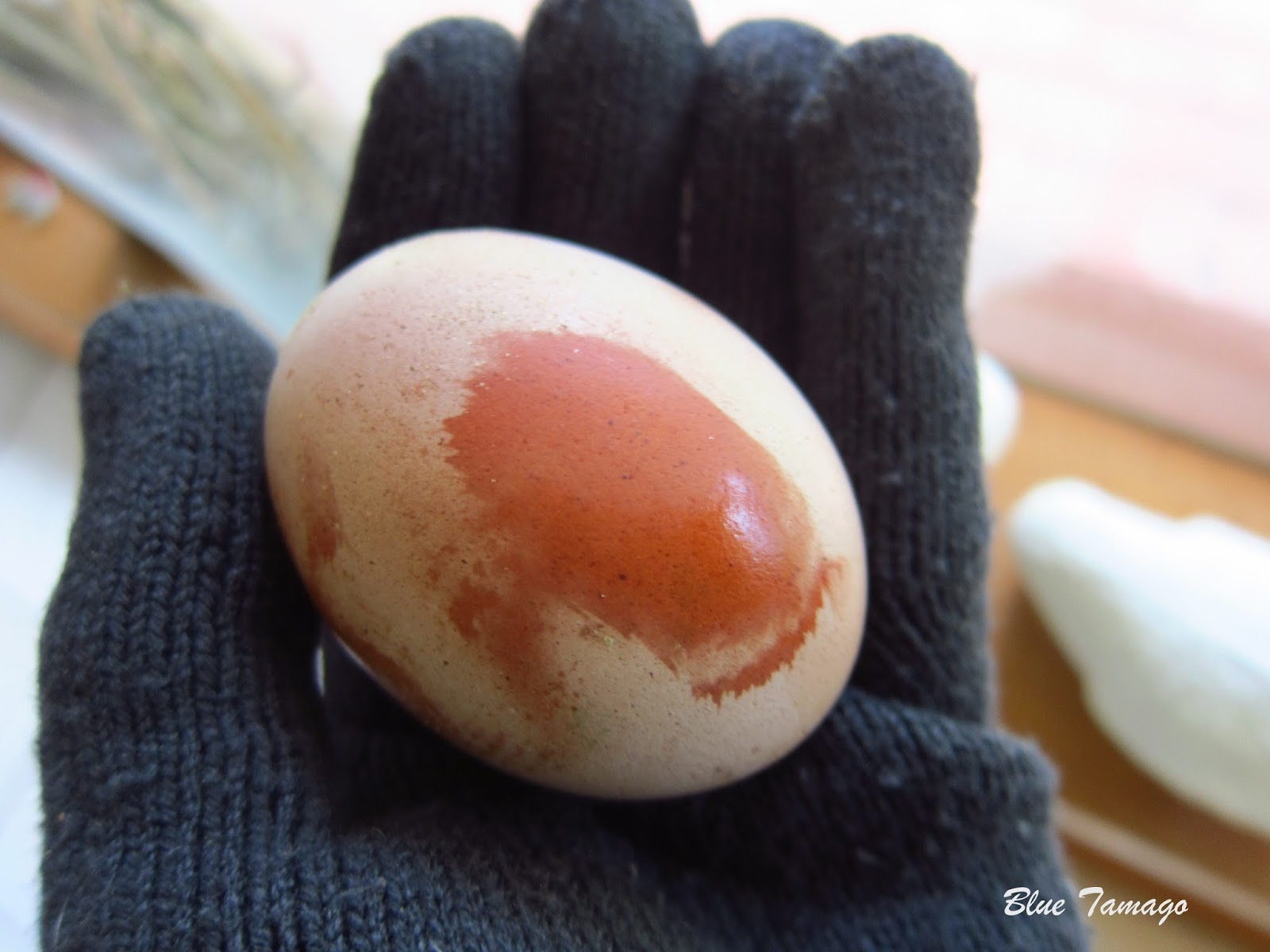 Egg cuticles The outermost layer of the eggshell