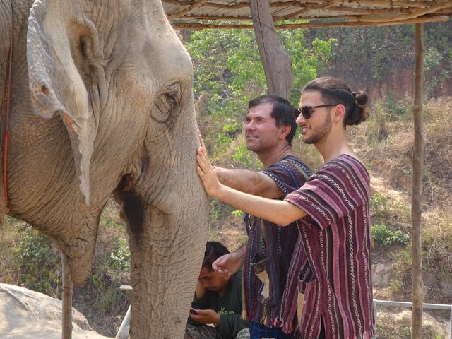 Elephant Jungle Sanctuary - Chiang Mai