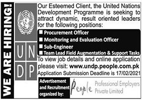 UNDP Job Vacancies - UN Careers - UN Vacancies - United Nations Jobs - United Nations Careers - UNDP Vacancies - UNDP Recruitment - UNDP Careers - Jobs UNDP - United Nations Development Programme Jobs