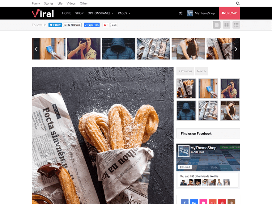 Viral – WordPress Theme For Social Media Marketers