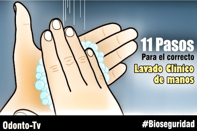 BIOSEGURIDAD: 11 Pasos para el correcto Lavado Clínico de Manos