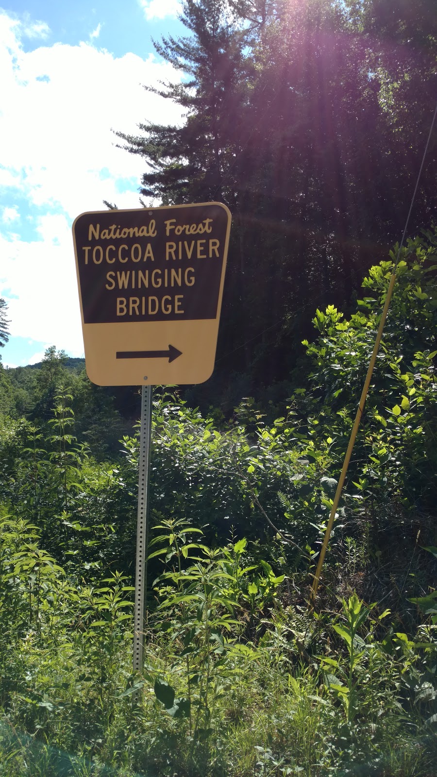 Cheryl S View Toccoa River Swinging Bridge Blue Ridge