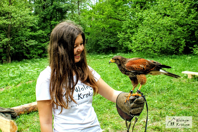 Jaskinia Radochowska w Kotlinie Kłodzkiej