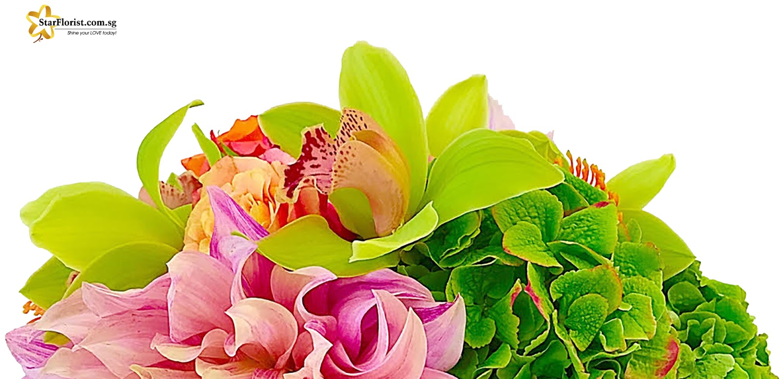 Florist in Singapore Delivering Fresh Flowers Everyday Online