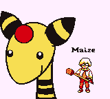 Pokemon Maize Cover