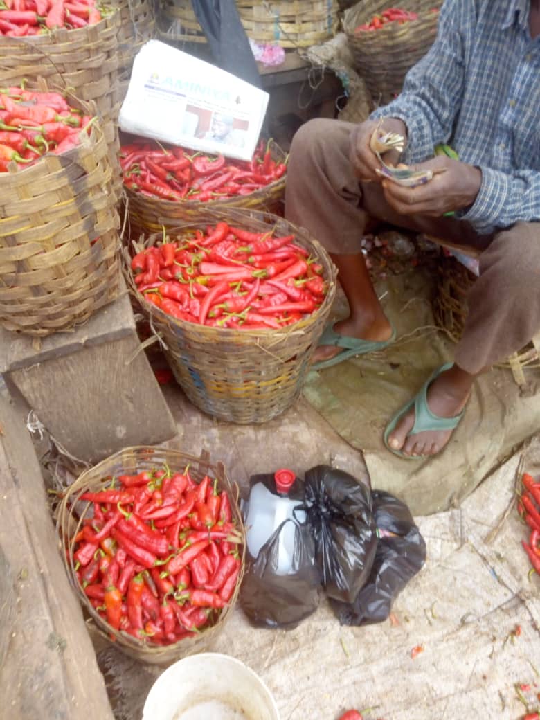 Updated Price of Pepper (Bawa And Rodo) In Jos, July 2020