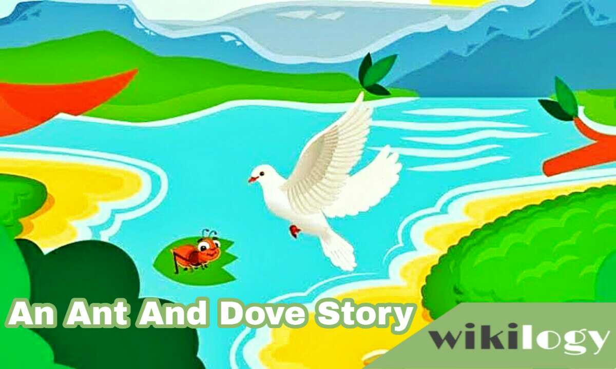 An Ant And A Dove Completing Story