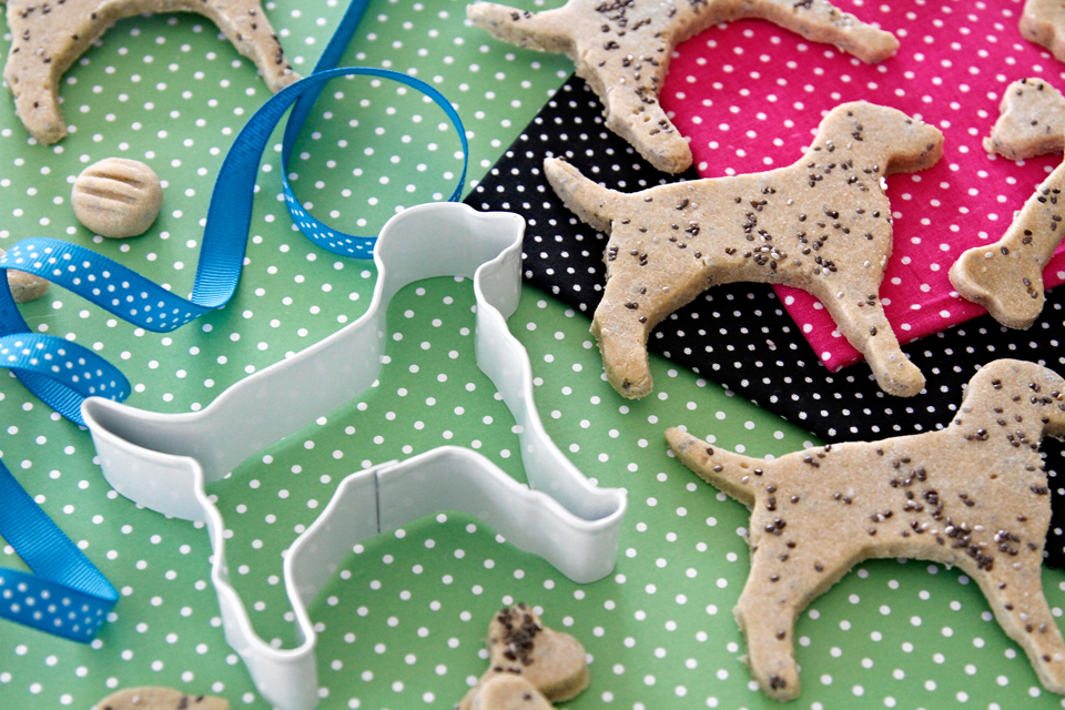 Dalmatian DIY Dalmatian Spotted Dog Treats (Just for Fun!)