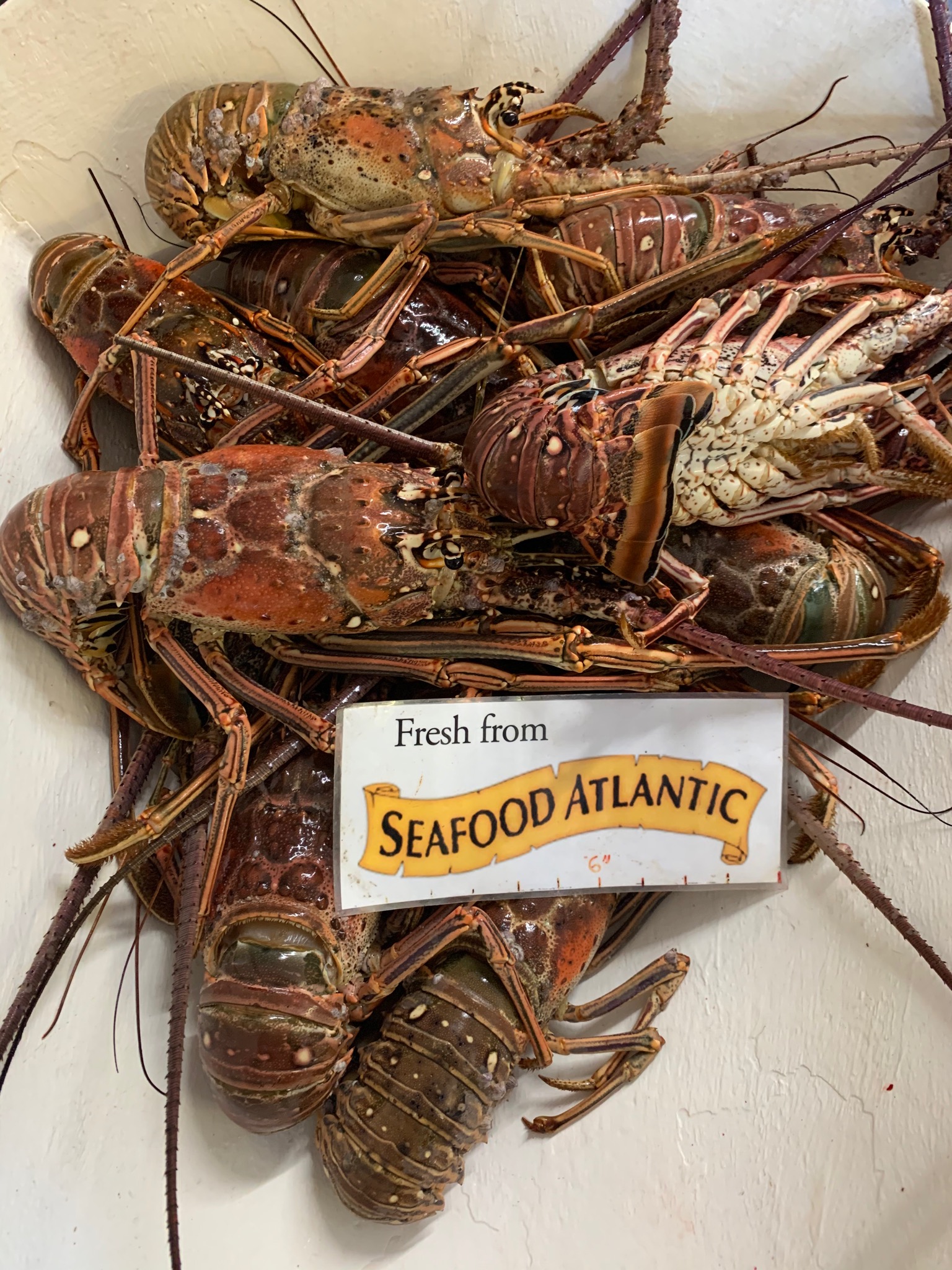 Seafood Atlantic Restaurant & Seafood Market Cape Canaveral Florida We