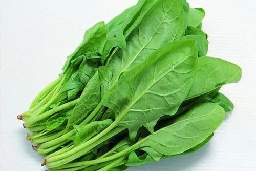Palak - Spinach