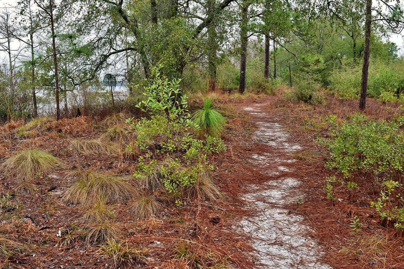 Waterfall Hero Hikes Lake Waccamaw State Park
