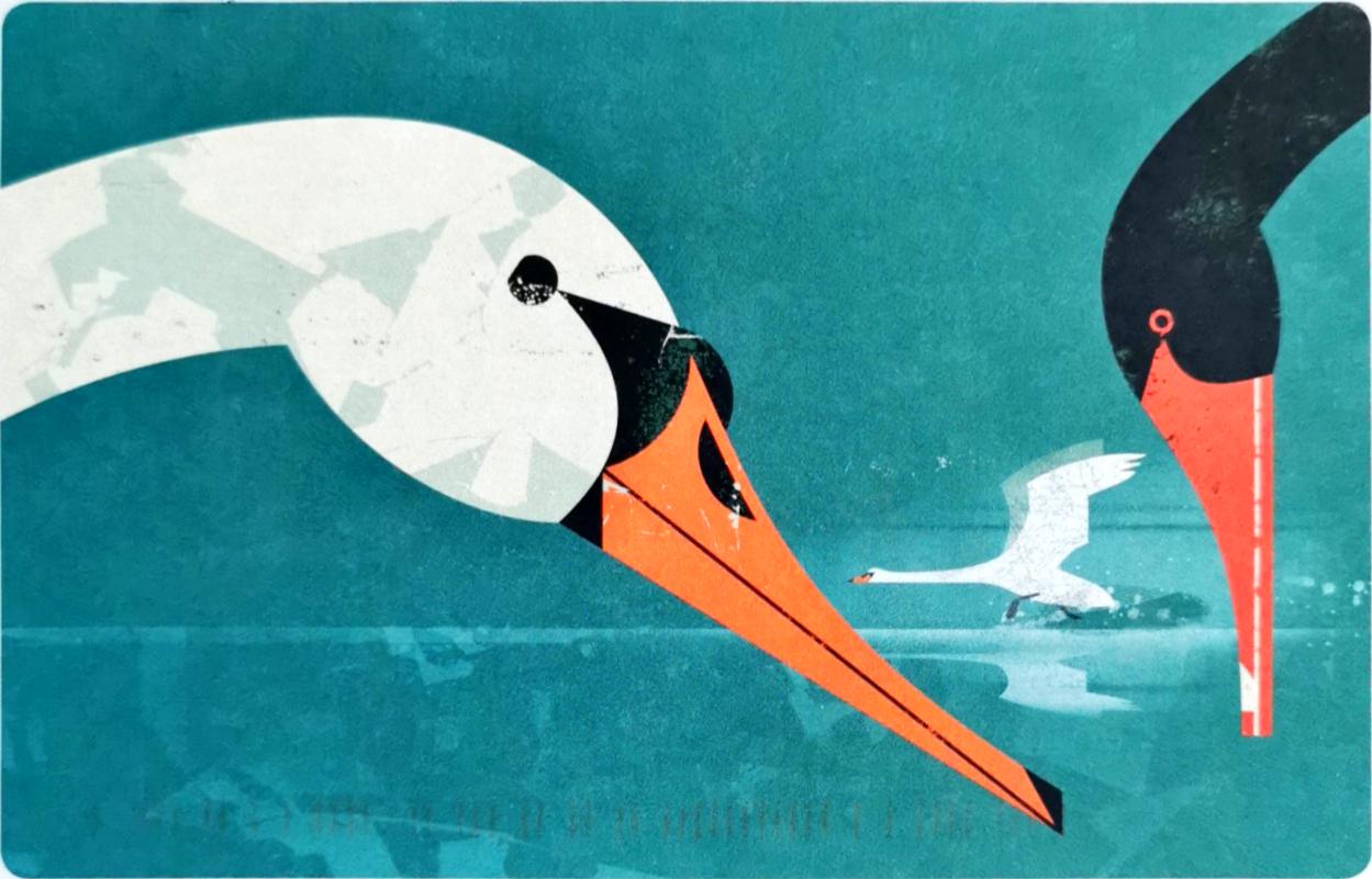 How Do Carrier Pigeons Work Let’s find out other interesting facts