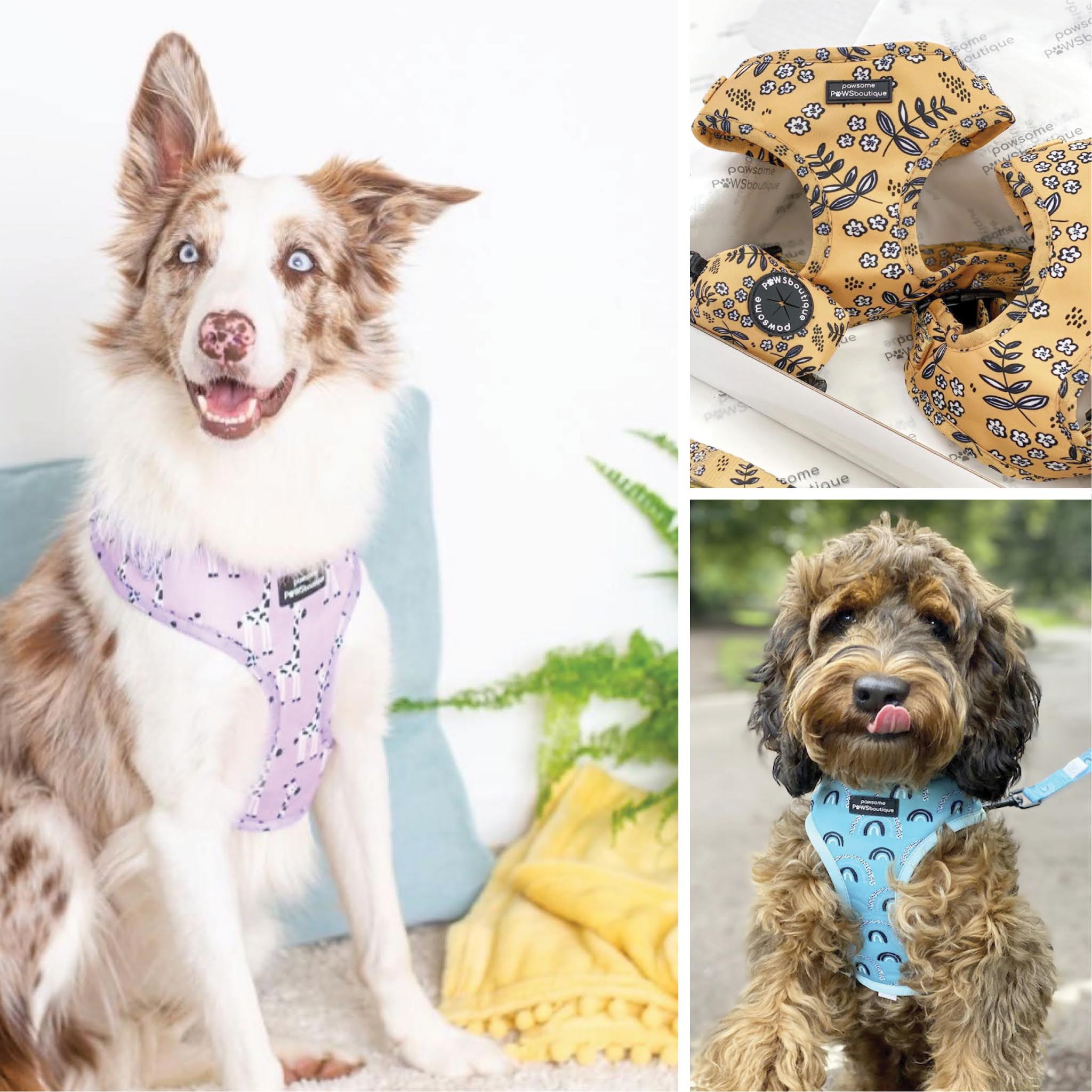 little smilemakers studio Finished Work Pawsome Paws Boutique // Pet