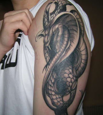 3D Snakes Tattoo on Biceps and Triceps