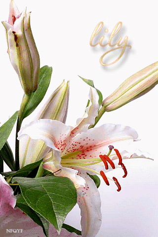 Decent Image Scraps: Flower Animation