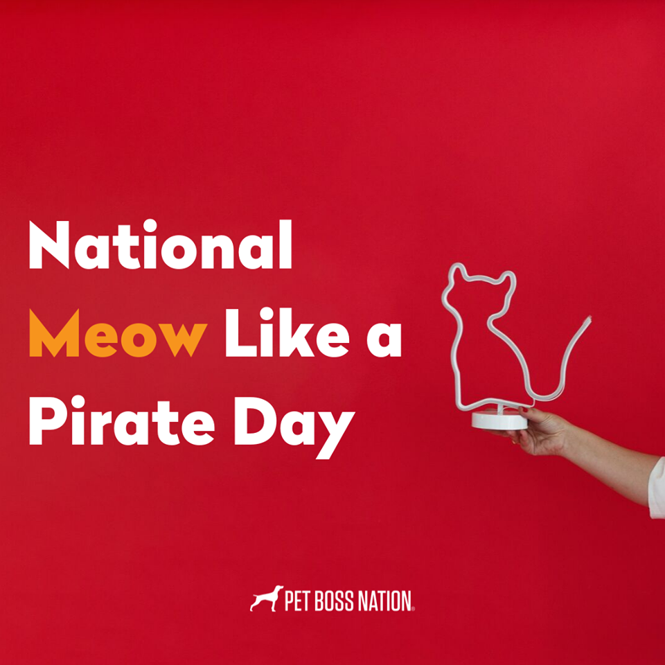 National Meow Like a Pirate Day