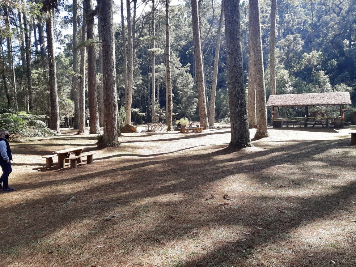 Parque Estadual Campos do Jordão (SP)