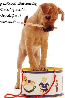 dog relax music