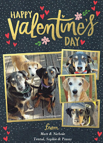 dog valentine's day card rescue dogs