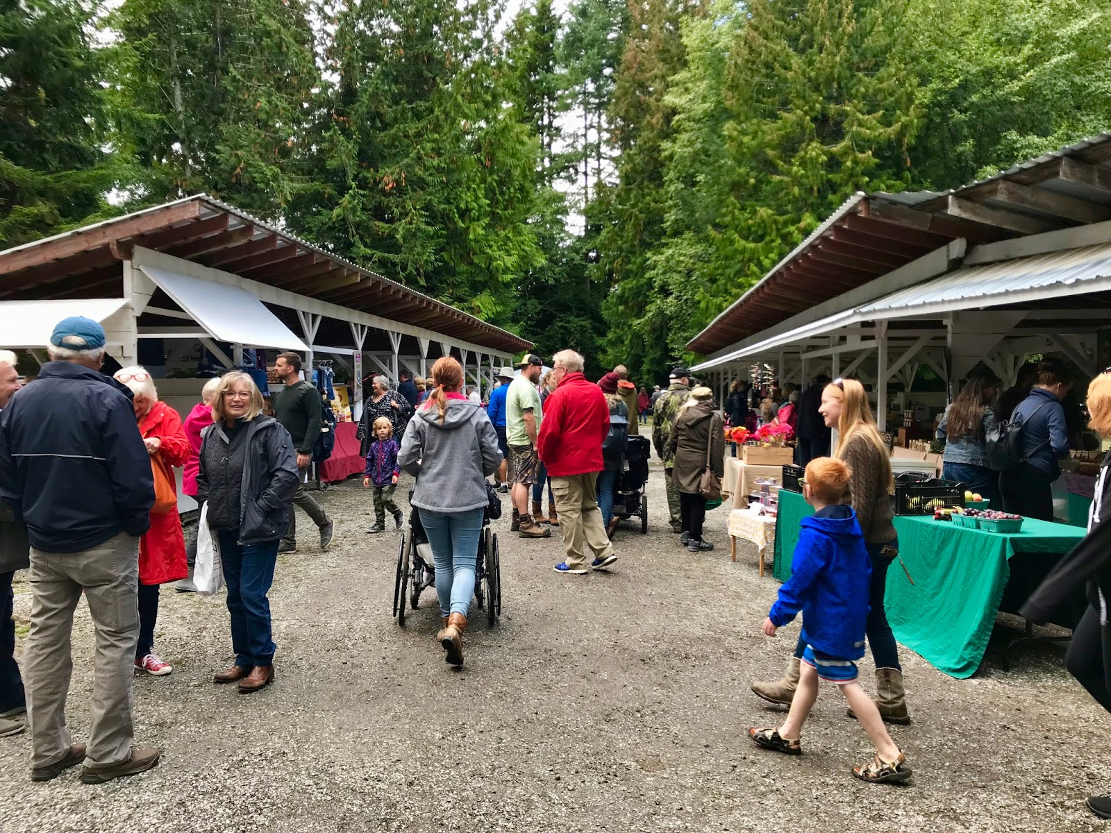 Powell River Books Blog 2018 Powell River Fall Fair