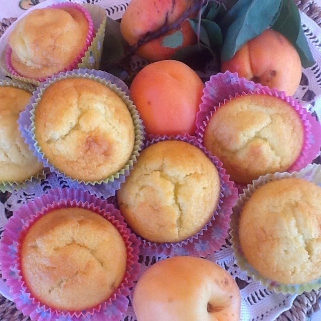 muffins alle albicocche