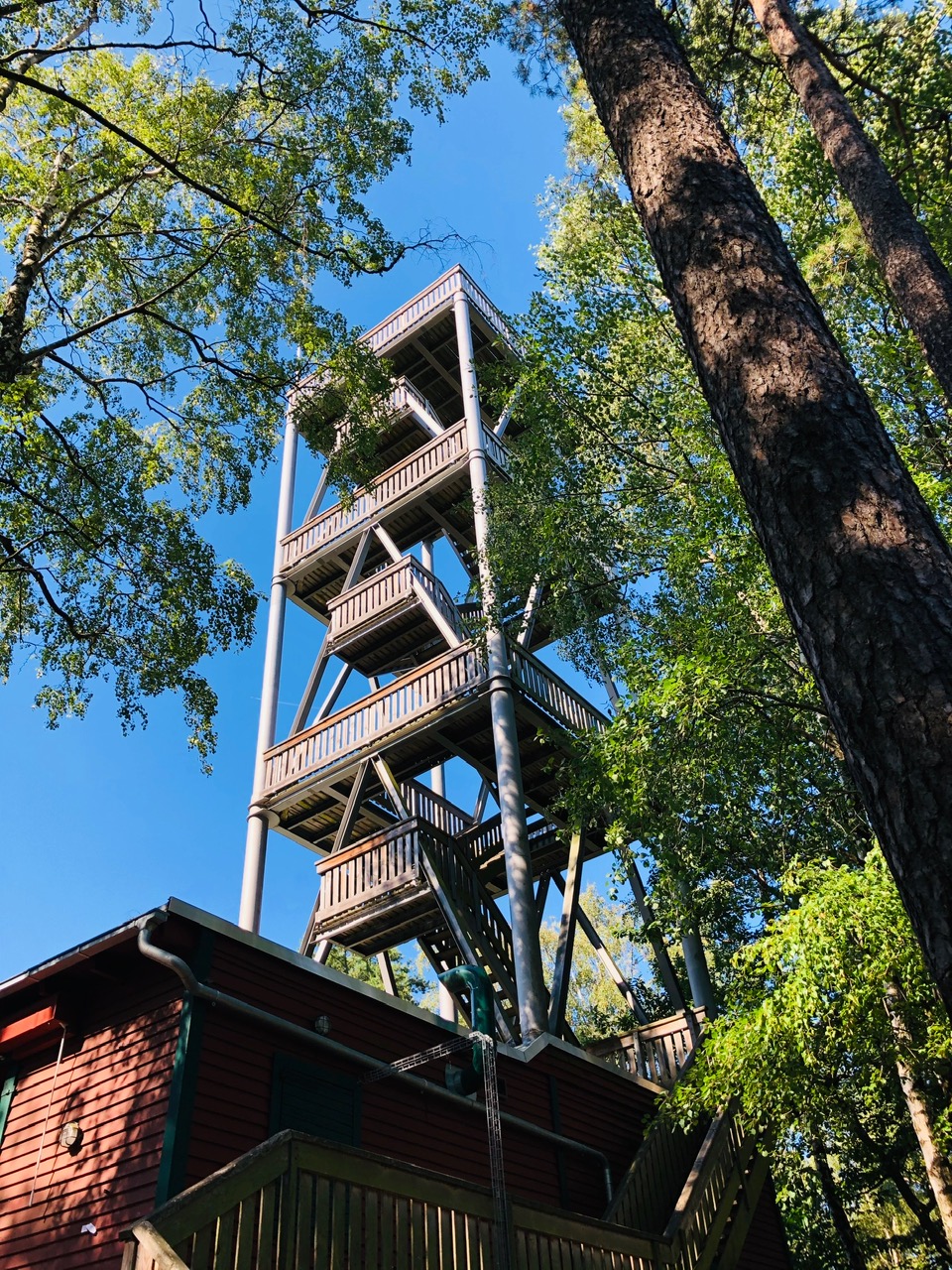 Samojedenzauber Wanderung Rund um den Eckkopf vom Mühltal (Deidesheim