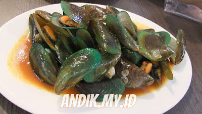 kerang hijau,