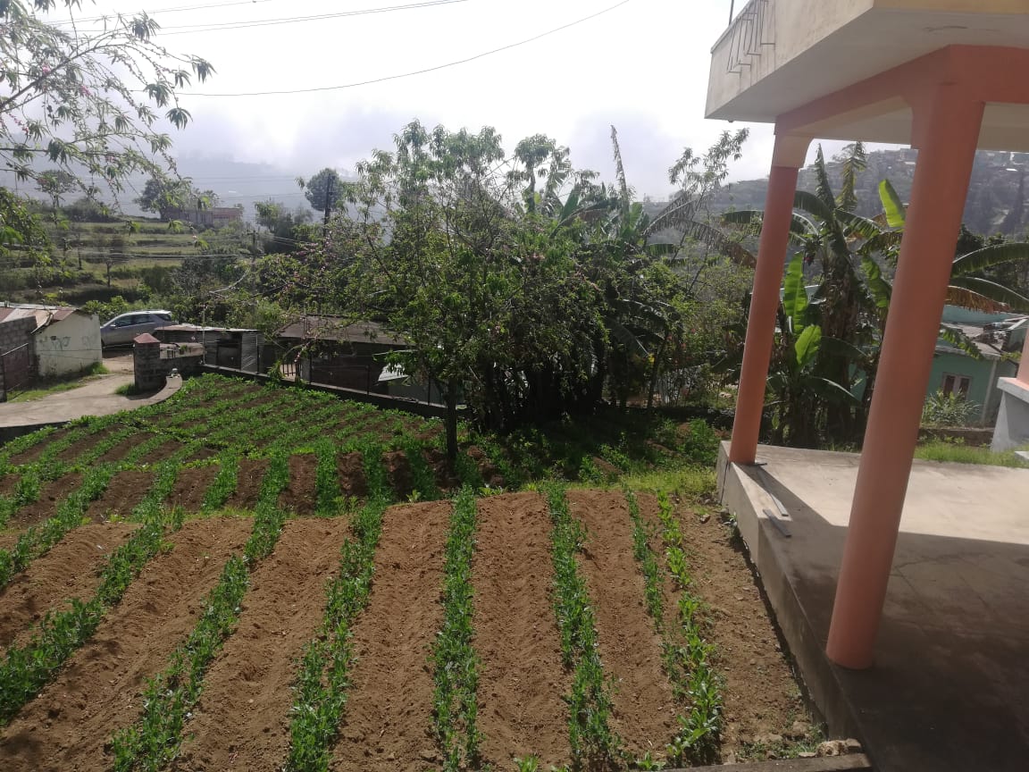 Kodaihills Realestate. Farm house land for sale in kodaikanal