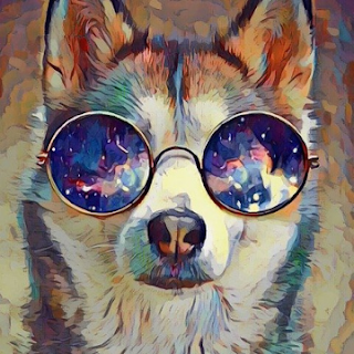 cool dog with round glasses pfp