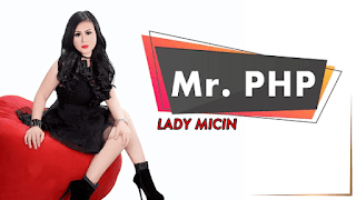 Lirik Lagu Mr. PHP - Lady Micin