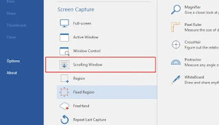 Cara Melakukan Screenshot Scrolling di Windows 10