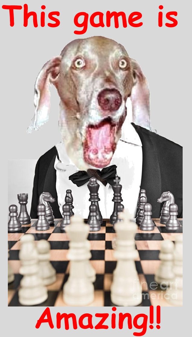 Tartajubow On Chess II: An Amazing Benko Gambit by Lev Alburt