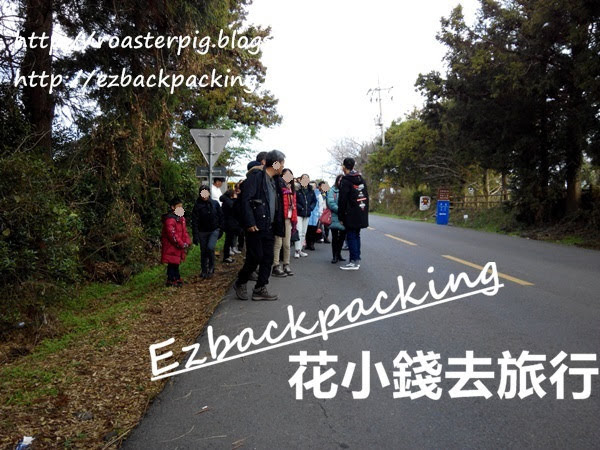 濟州島神秘道路:神奇之路有多神奇