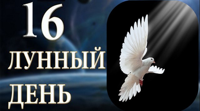 Картинки по запросу "картинки 16 лунный день"