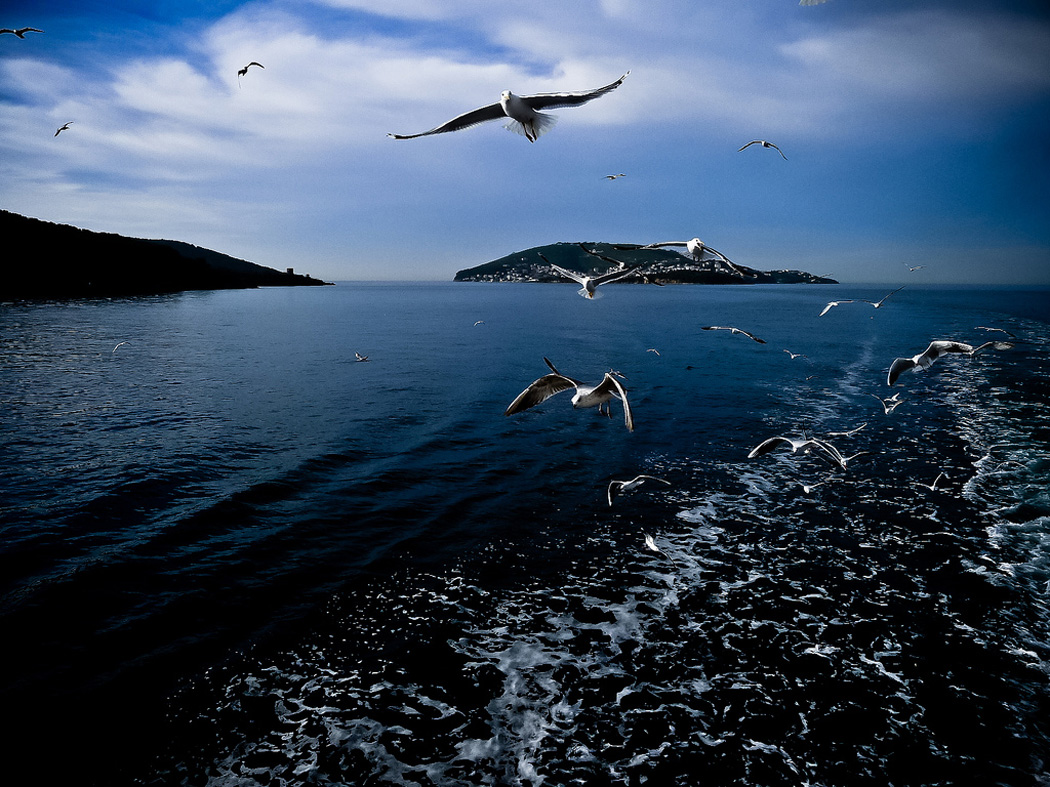 zeynepce renkler prens adalari