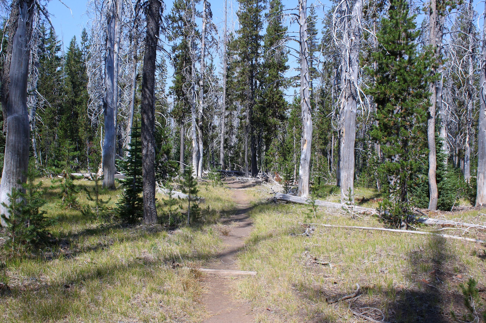 Richard Hikes Red Cone Spring