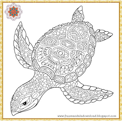 Schildkröte Mandala Malvorlagen Vektor