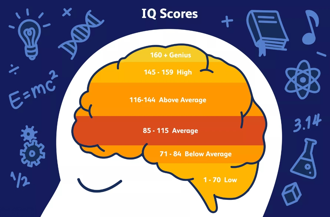 Iq Test Result Chart