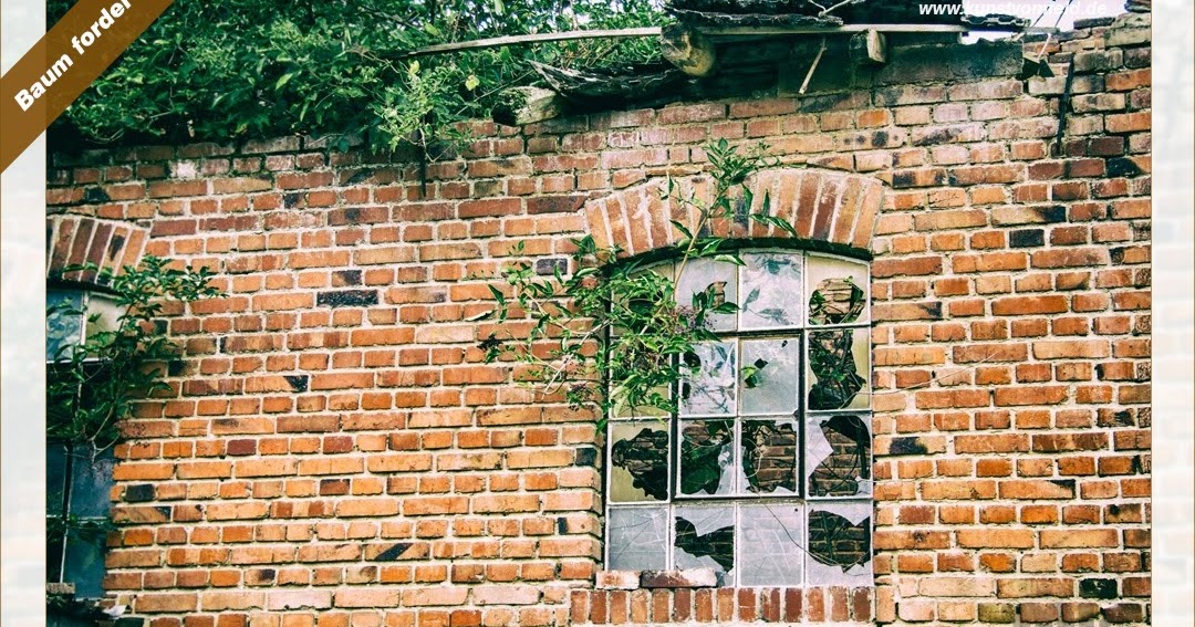 Https Encrypted Tbn0 Gstatic Com Images Q Tbn 3aand9gcqenjdnzaqwpvcvxsojla2npxfnd9ppsmzyrg Usqp Cau