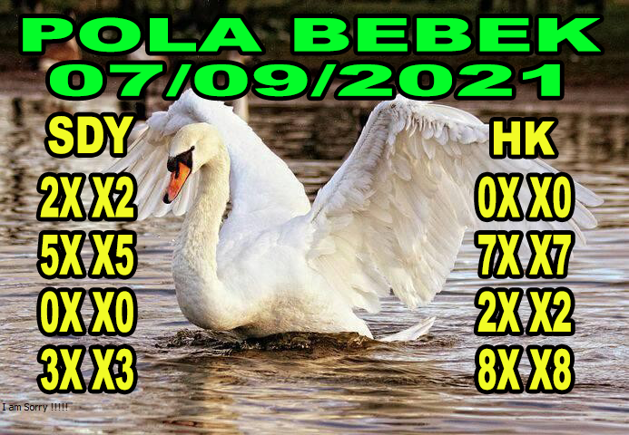 Syair HK Forum Kode Syair Hongkong Hari ini Togel Keluaran