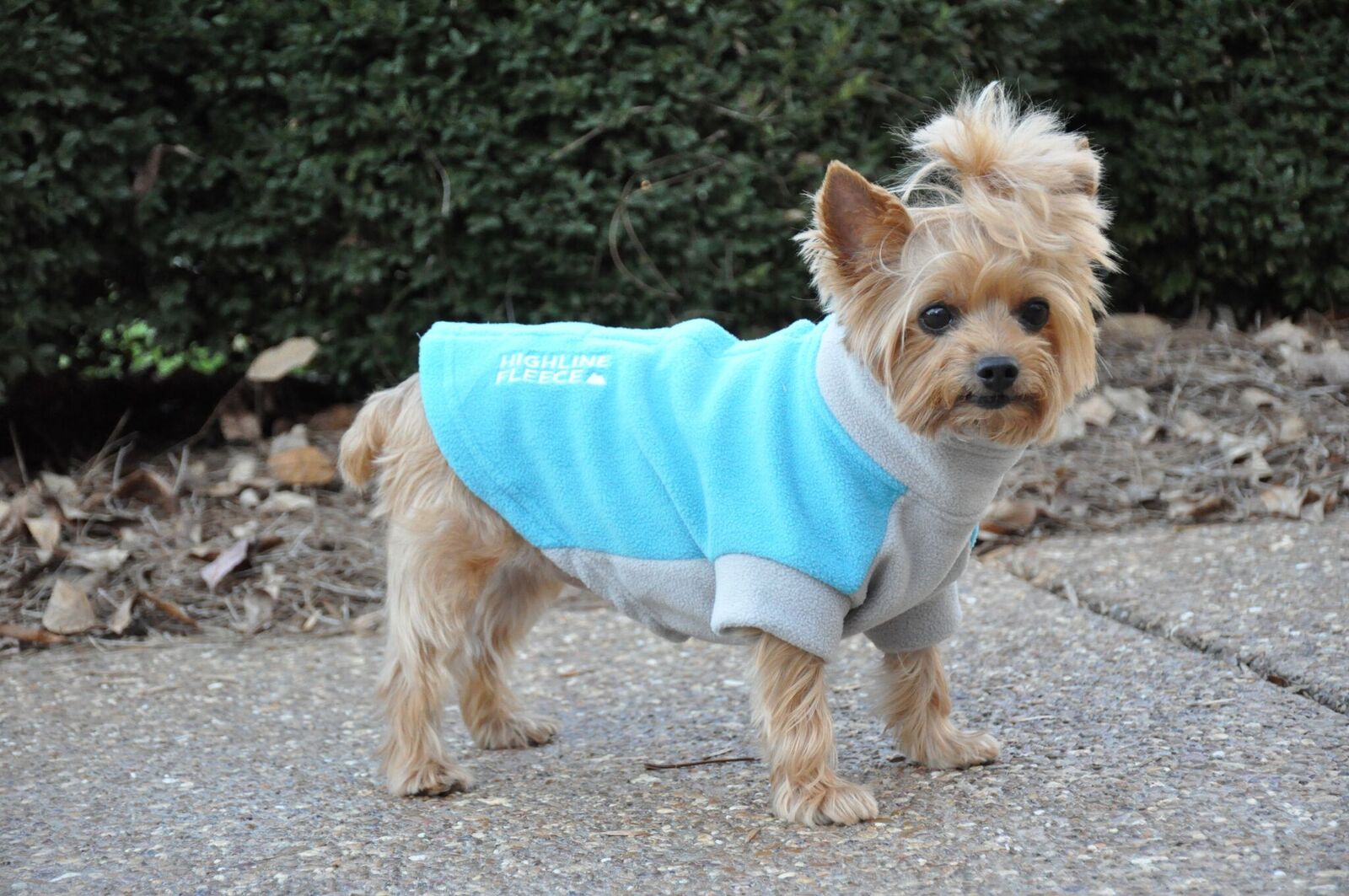 Fido Fleece Dog Coats. Best Selection Fido Fleece, Quick Ship!