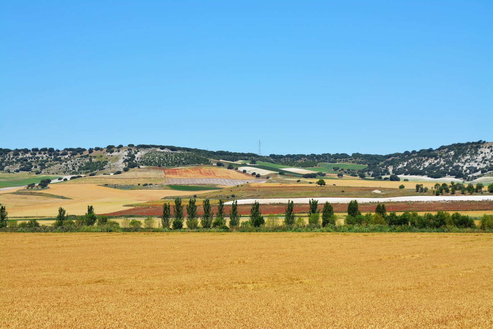 PUEBLOS Y LUGARES PIÑA DE ESGUEVA