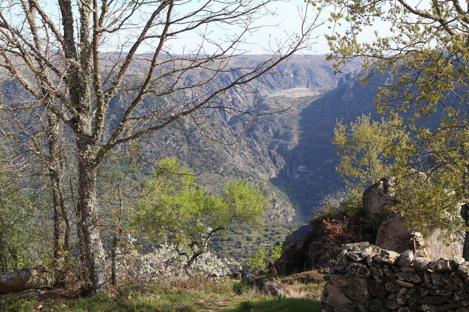 Rinconesibericos MIEZASalamancaCastilla y LeónEspaña