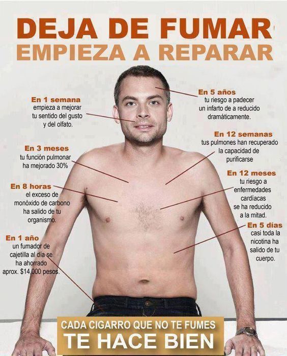 Efectos del Tabaco En El Organismo 5 Maneras Que Bajan Tu Energía y Tu Efectos del Tabaco En El Organismo 5 Maneras Que Bajan Tu Energía y Tu