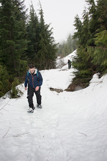 hiking and climbing on vancouvers Island with the Island Mountain Ramblers