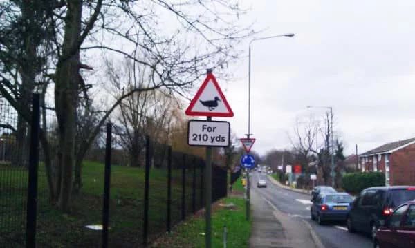 26 Shocking Photos Depict Hilarious Differences Between Britain And Australia 26 Shocking Photos Depict Hilarious Differences Between Britain And Australia