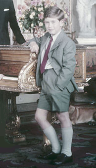 Encyclopedia of Trivia: Prince Charles, The Prince of Wales